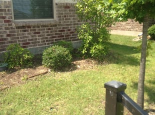 Bush Trimming by Vincent Hajek for Jordan M. in Fort Worth, TX