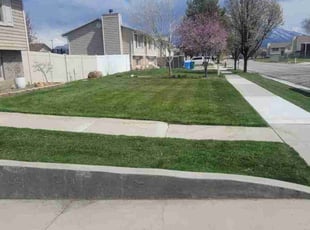 Sheryl T.'s Lawn Mowing service result
