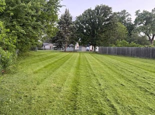 Michael b.'s Lawn Care service result