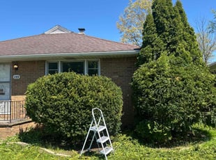 Bush Trimming by Errick Elias for Imtiaz K. in Buffalo, NY
