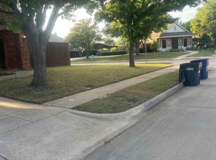 Cleanups by Dante Pressley for Daniel C. in McKinney, TX