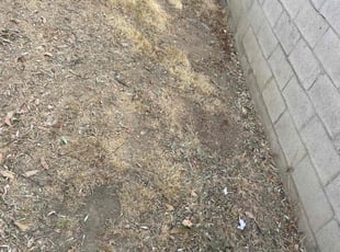 Cleanups by Carlos Reyna for Alexia S. in Riverside, CA