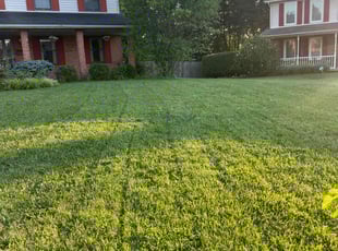 Miriam S.'s Lawn Mowing Service service result