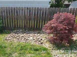 Weeding by Ronald Burton for Brooke S. in Tonawanda, NY