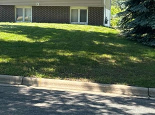 Iona D.'s Lawn Service service result
