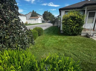 William S.'s Lawn Mowing service result