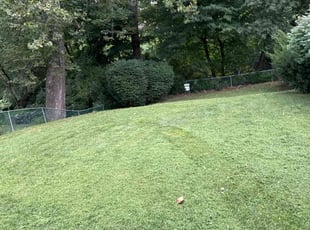 Cynthia C.'s Grass Cutting service result