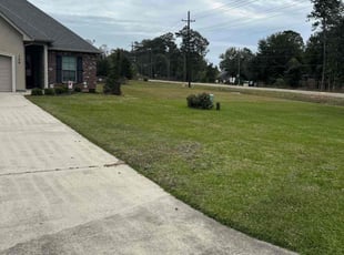 Melanie T.'s Grass Cutting service result