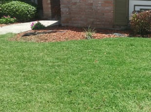 Cleanups by Roger Boudreaux for Iriane C. in New Orleans, LA