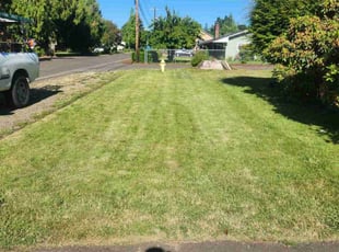 Rita B.'s Lawn Care service result