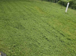 Cotey M.'s Yard Cutting service result