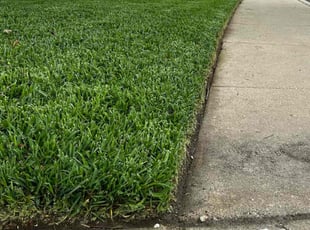 Jeff L.'s Yard Cutting service result