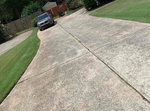 Tivra M.'s Lawn Maintenance service result