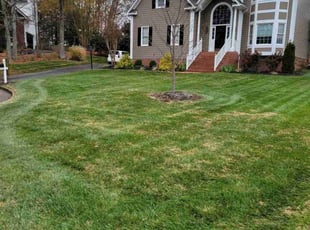 Leaf Removal by Joshua West for Kenneth F. in Mechanicsville, VA