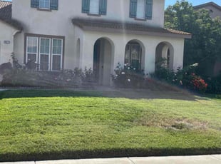 Estelle F.'s Lawn Care service result