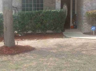 Leaf Removal by Jason Salazar for George E. in San Antonio, TX