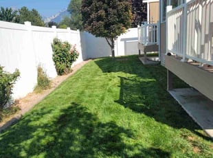 Dongseon P.'s Lawn Care service result