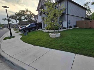 Katrina I.'s Lawn Maintenance service result