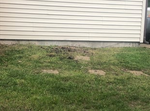 Landscaping by Danielle Patterson for Nick C. in Virginia Beach, VA
