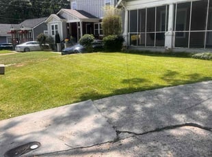 TonyaLee S.'s Grass Cutting service result
