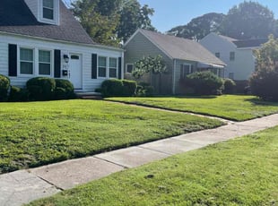 Mersadiz C.'s Bush Trimming service result