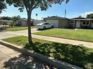 Phyllis M.'s Yard Cutting service result