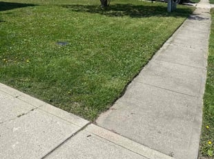 Nabila U.'s Lawn Mowing service result