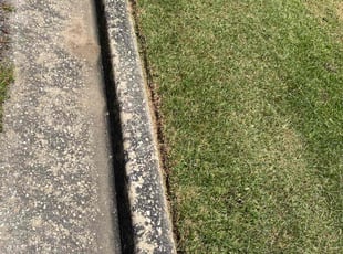 Kimberly C.'s Yard Cutting service result