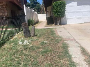 Bush Trimming by Andrea Villalpando for Shalay L. in Moreno Valley, CA