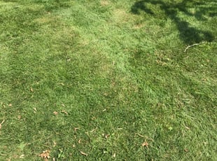 Landscaping by Terrance Davis for Paul B. in Milwaukee, WI