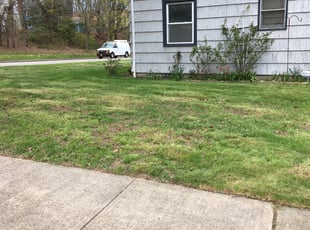 Cleanups by Steven Hutchison for richard M. in Rochester, NY