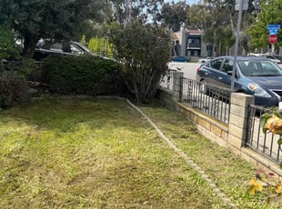 Bush Trimming by Robert Camarena for Brendan N. in Rosemead, CA