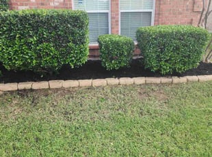 Bush Trimming by Gerome Randle for Chad l. in Arlington, TX