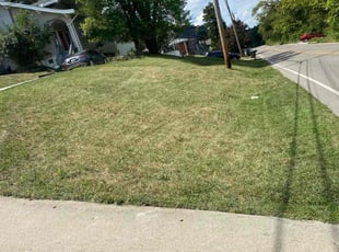 Deborah M.'s Lawn Mowing service result