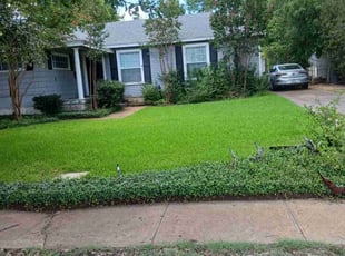 Larry H.'s Lawn Mowing service result