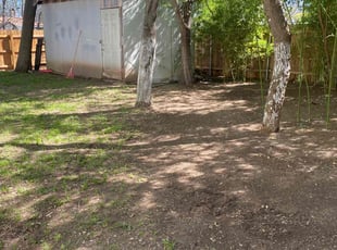 Leaf Removal by Jorge Lozano for Leah S. in Austin, TX