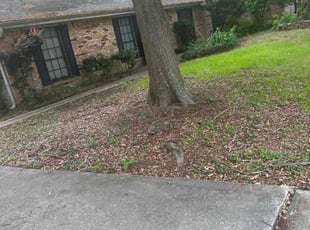 Cleanups by Joshua Segura for George L. in La fayette, LA