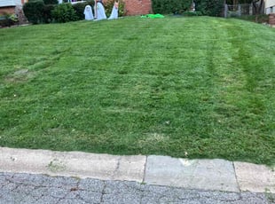Zack K.'s Lawn Service service result