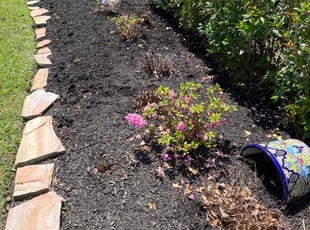 Weeding by Juan Wong for Mason M. in Cypress, TX
