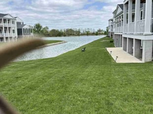 Tyler B.'s Lawn Care service result