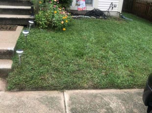 ZHUOJUN H.'s Grass Cutting service result