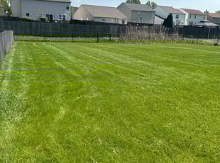 Darlene R.'s Lawn Service service result