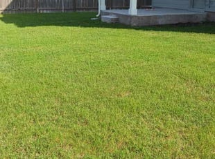 Courtney W.'s Grass Cutting service result