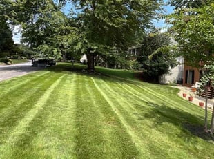 Lauren M.'s Lawn Service service result