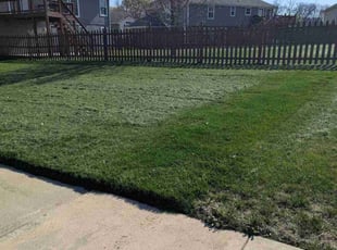 Tim I.'s Grass Cutting service result