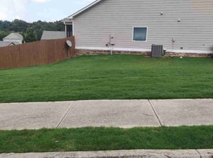 Jerome W.'s Lawn Mowing service result