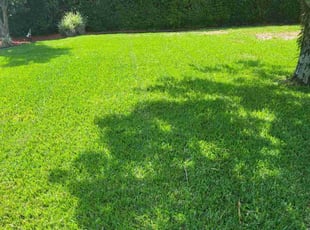 Zakiya B.'s Lawn Mowing service result