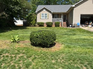 Bush Trimming by Claude Batts for Frank B. in Denver, NC