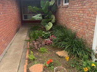 Landscaping by Alex Morales for Margaret S. in Houston, TX