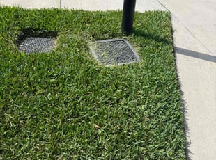 Romar C.'s Grass Cutting service result